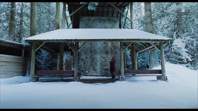 Una persona está frente a una construcción de madera rodeada de árboles y nieve.