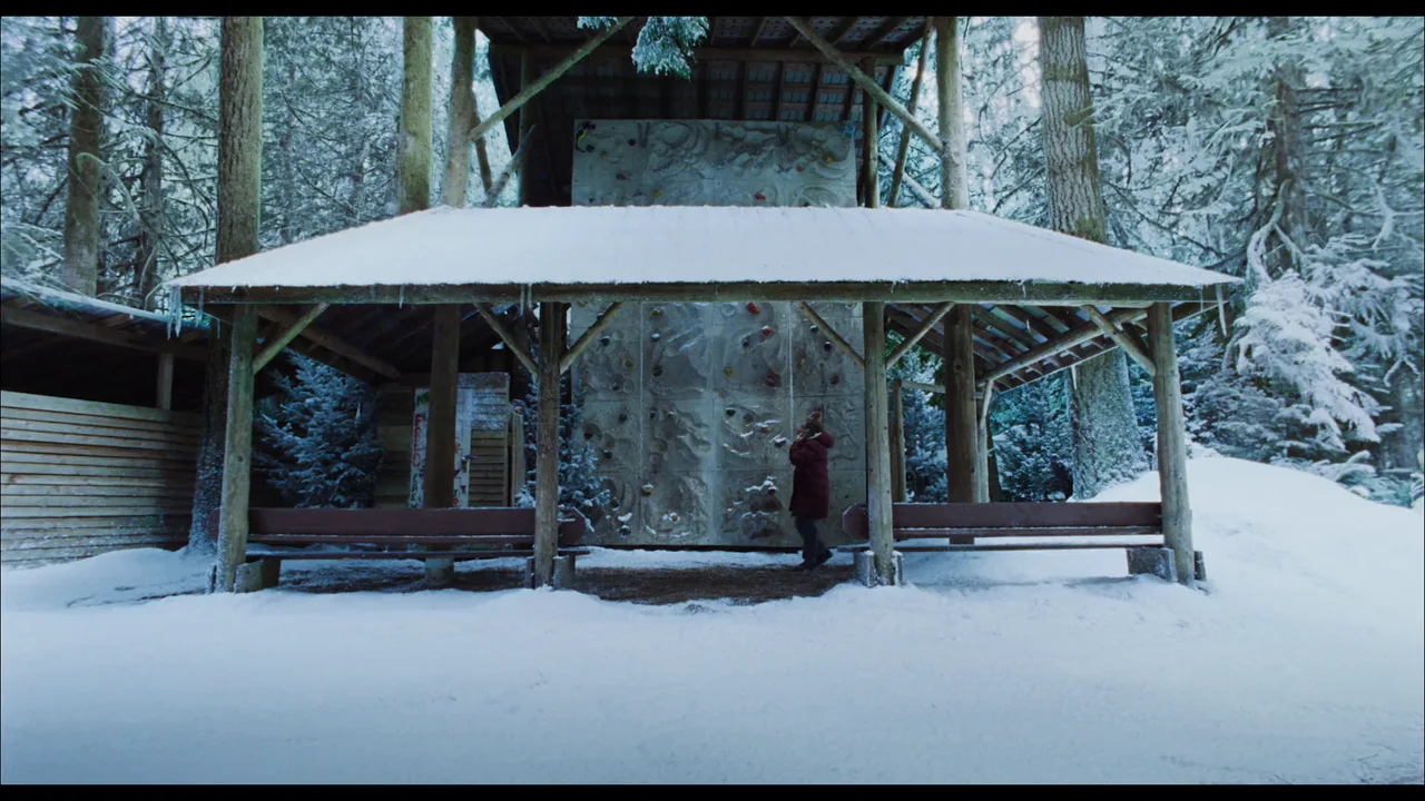 Una persona está frente a una construcción de madera rodeada de árboles y nieve.