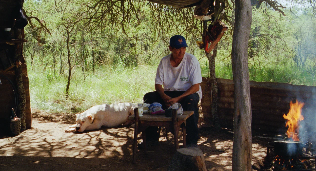 Misael sentado bajo un reparo de ramas, junto a un perro y una olla sobre el fuego.