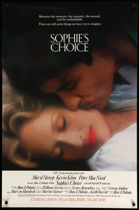 Poster de La decisión de Sophie