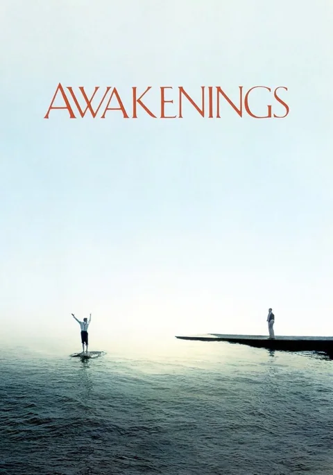 Poster de Despertares