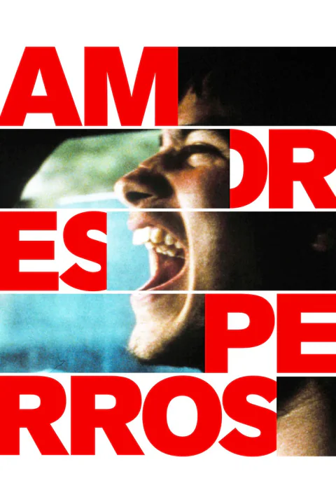 Poster de Amores perros