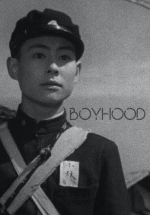 Poster de Boyhood