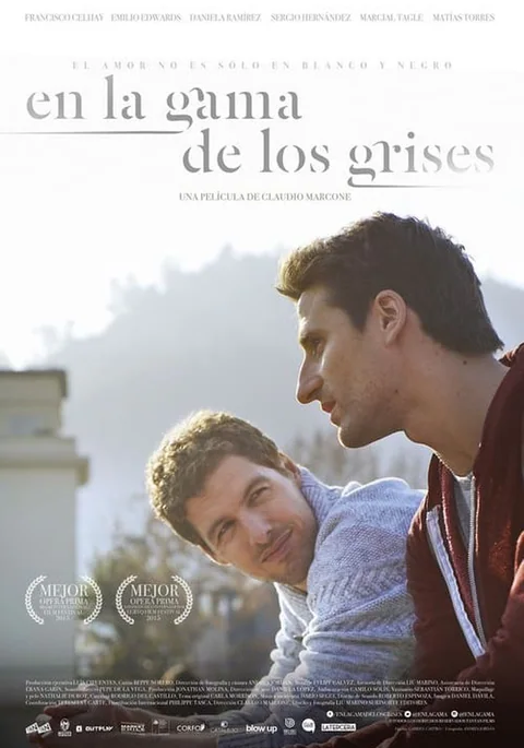 Póster de En la gama de los grises