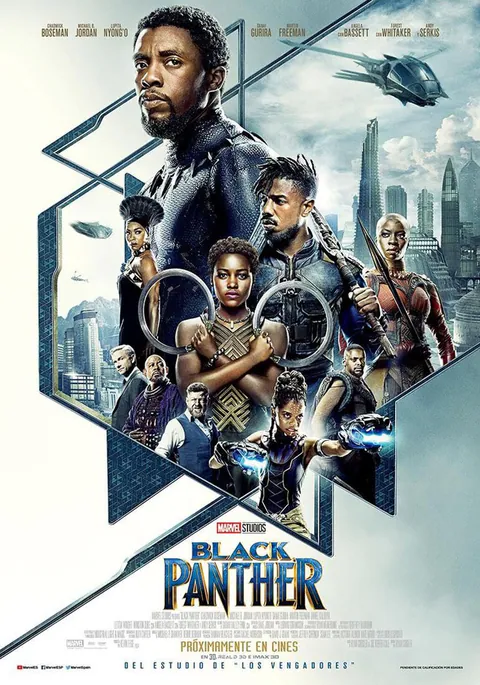 Poster de Black Panther