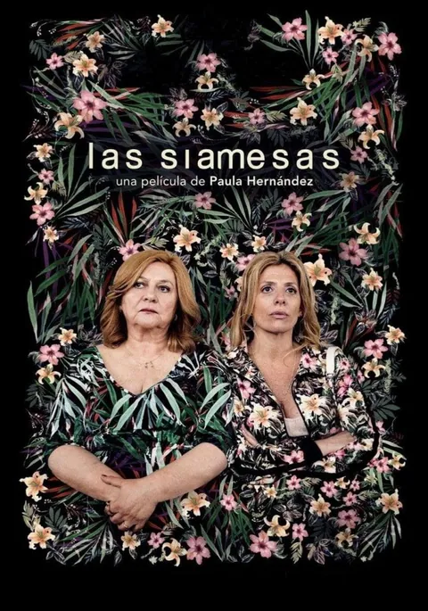 Poster de Las siamesas
