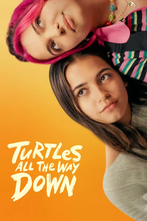 Póster de Turtles All the Way Down
