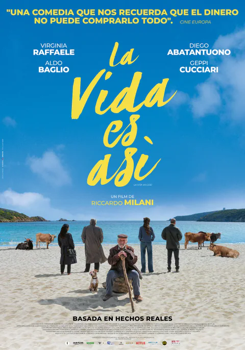 Poster de La vida es así