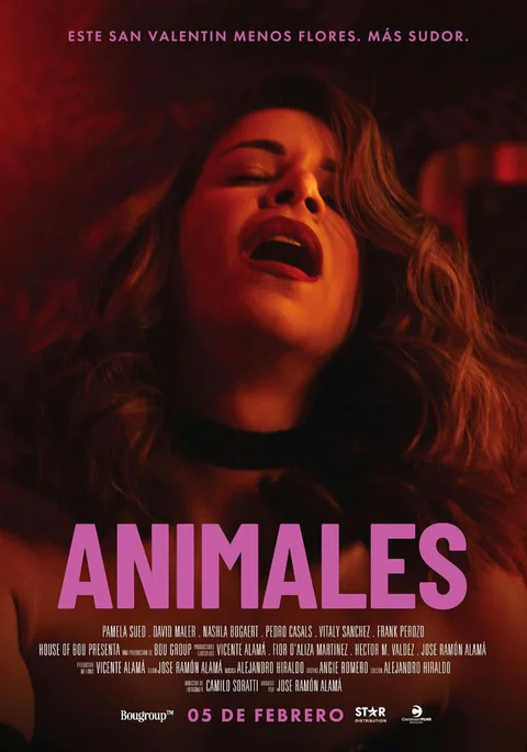 Poster de Animales