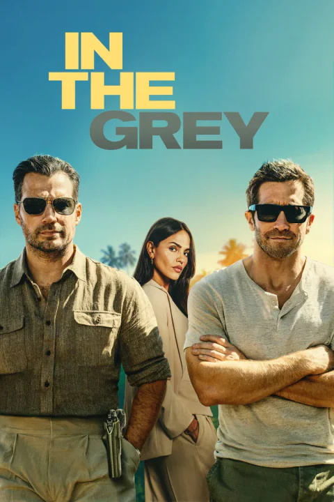 Poster de En la zona gris