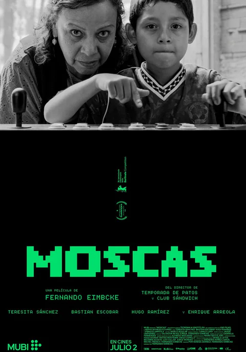 Póster de Moscas