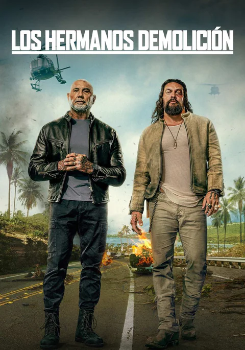 Poster de Los hermanos demolición