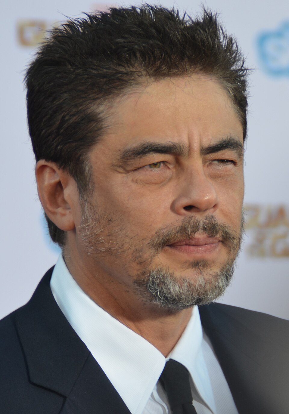 Foto de Benicio del Toro