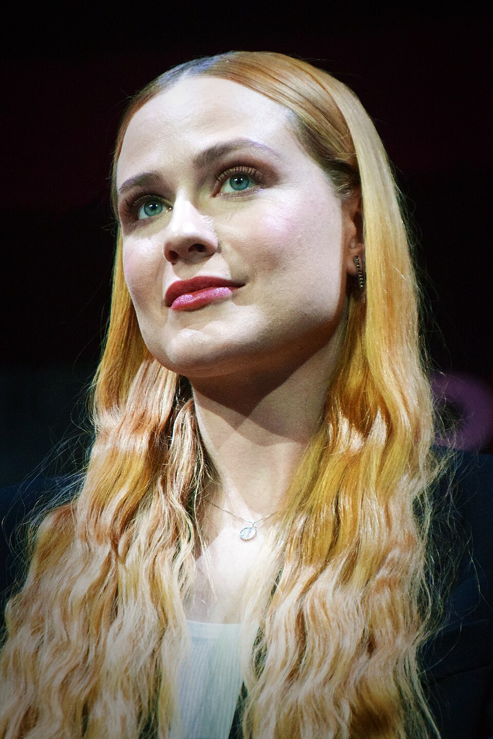 Foto de Evan Rachel Wood