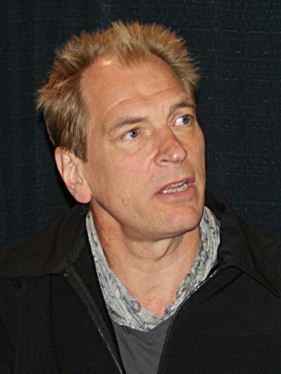 Foto de Julian Sands