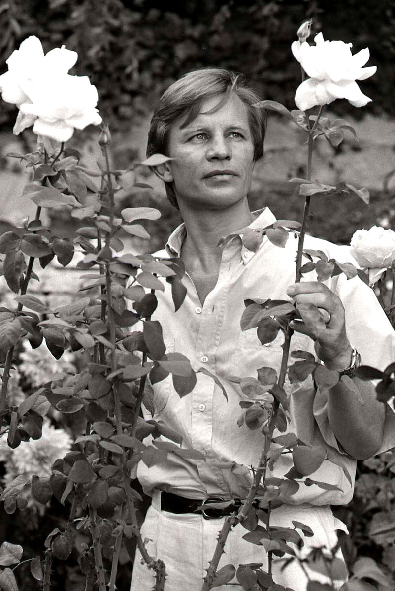 Foto de Michael York