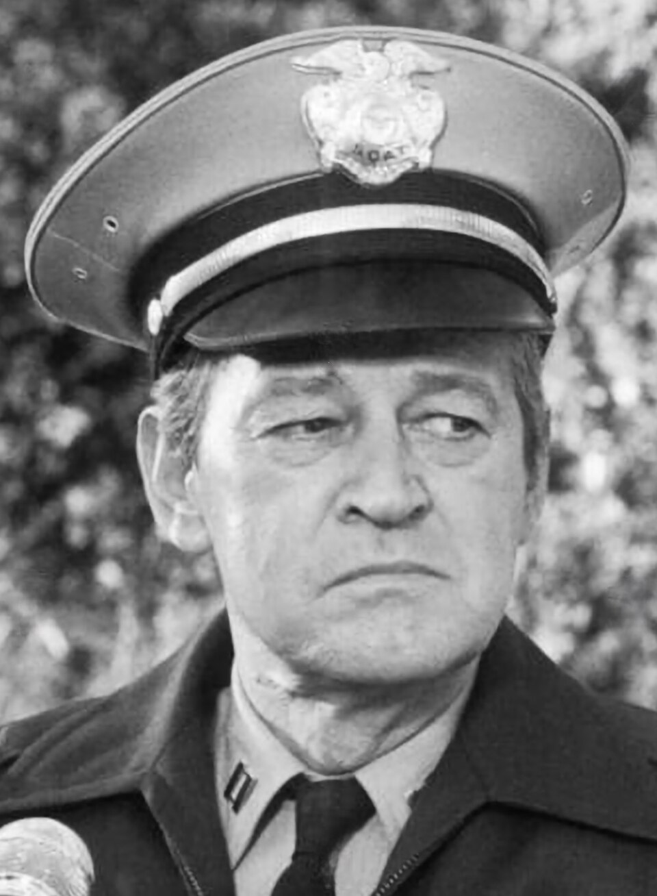 Foto de Murray Hamilton