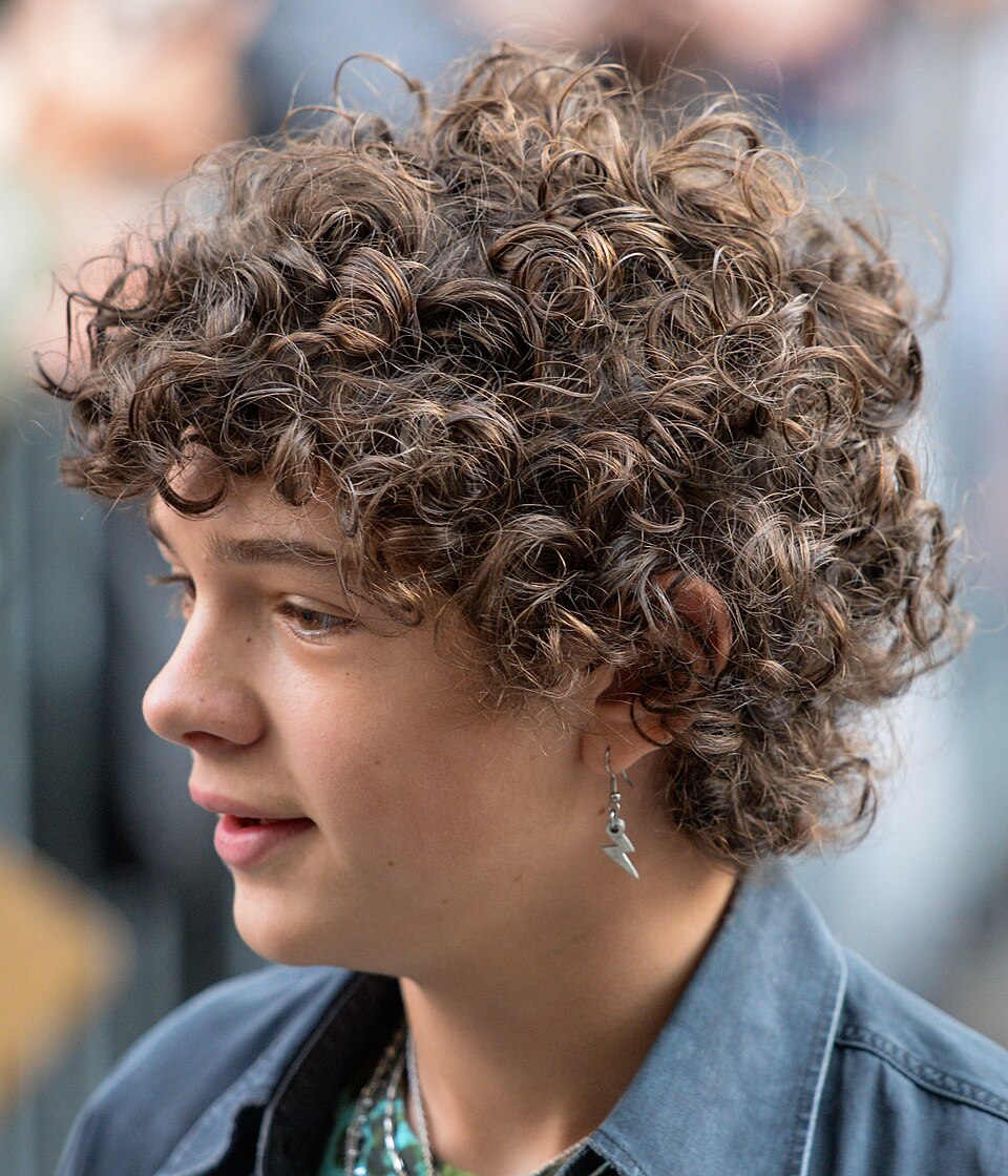 Foto de Noah Jupe