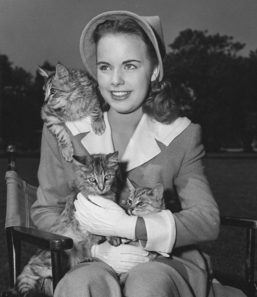Foto de Terry Moore