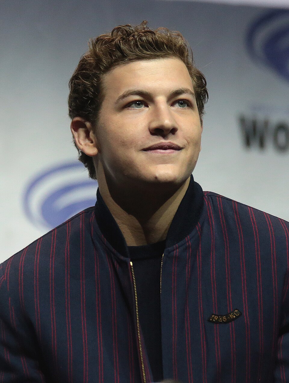 Foto de Tye Sheridan